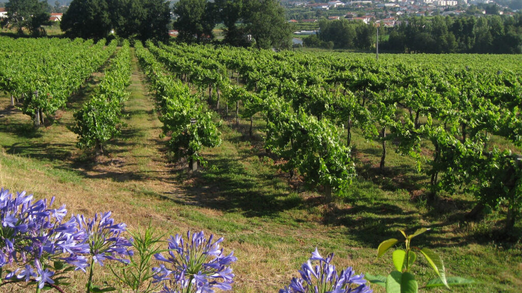 Quinta do Ermízio